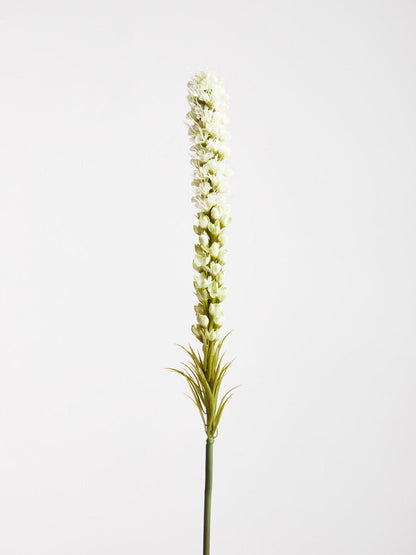 Fiori White Blazing Star Flower Stem