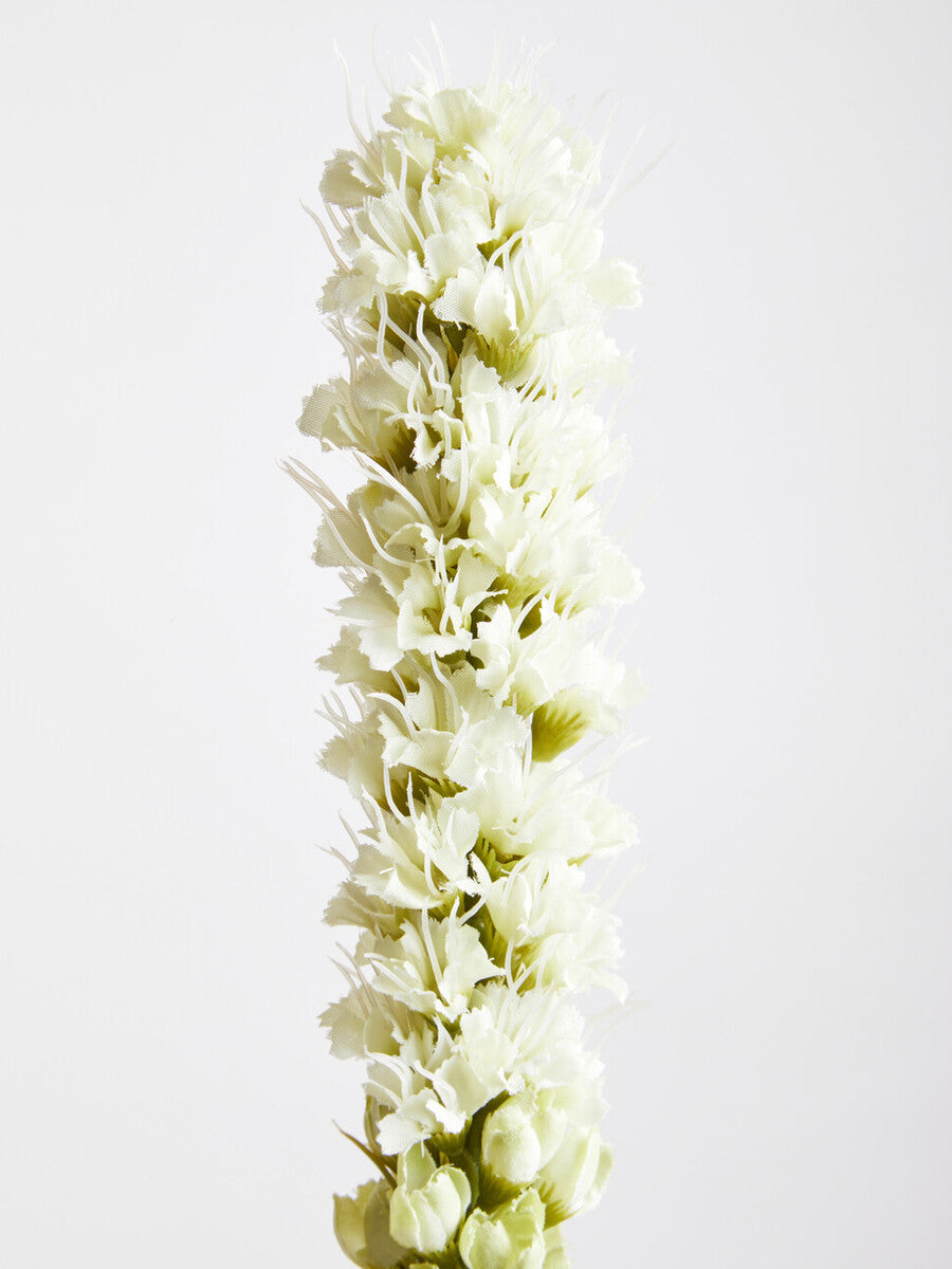 Fiori White Blazing Star Flower Stem