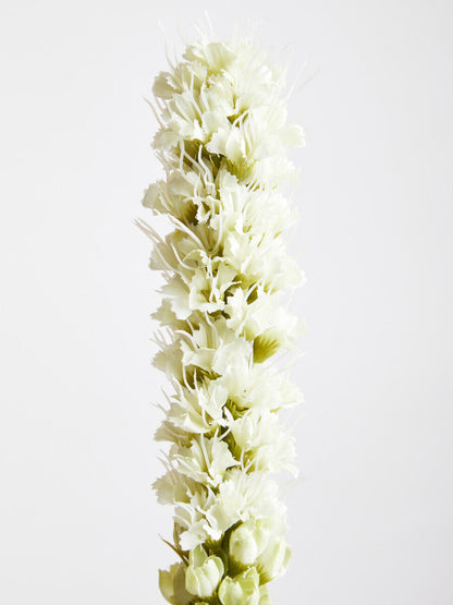 Fiori White Blazing Star Flower Stem