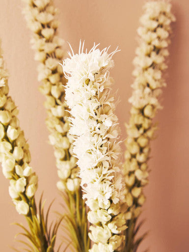 Fiori White Blazing Star Flower Stem