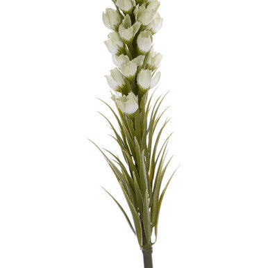 Fiori White Blazing Star Flower Stem