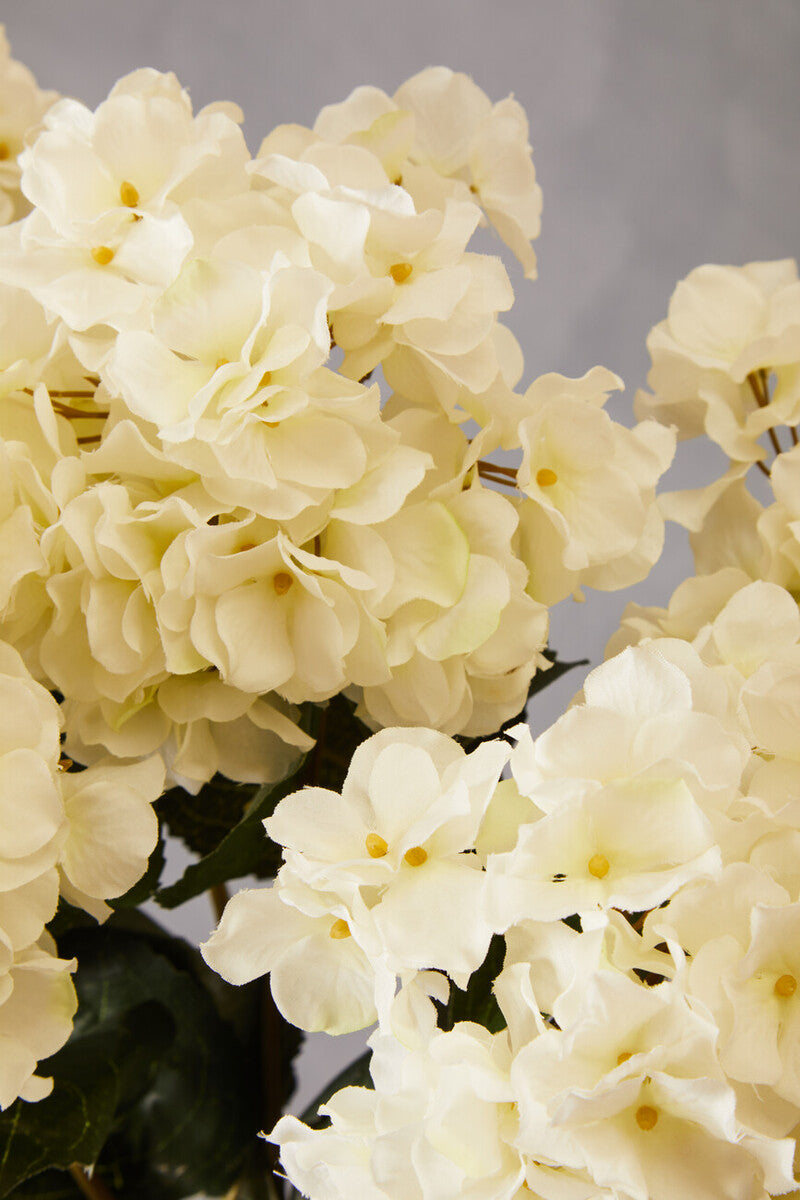 Fiori Cream Hydrangea Flower Stem