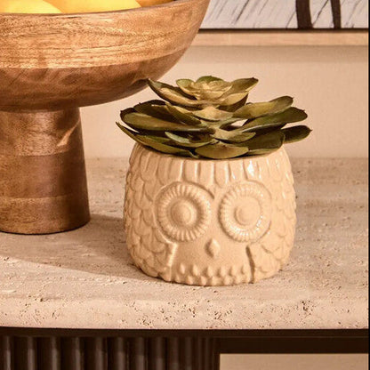 Fiori Large Succulent in Grey Ceramic Owl Pot