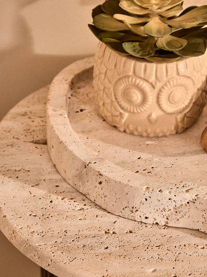 Fiori Large Succulent in Grey Ceramic Owl Pot