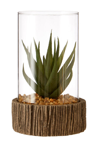 Fiori Small Succulent with Natural Stone Base