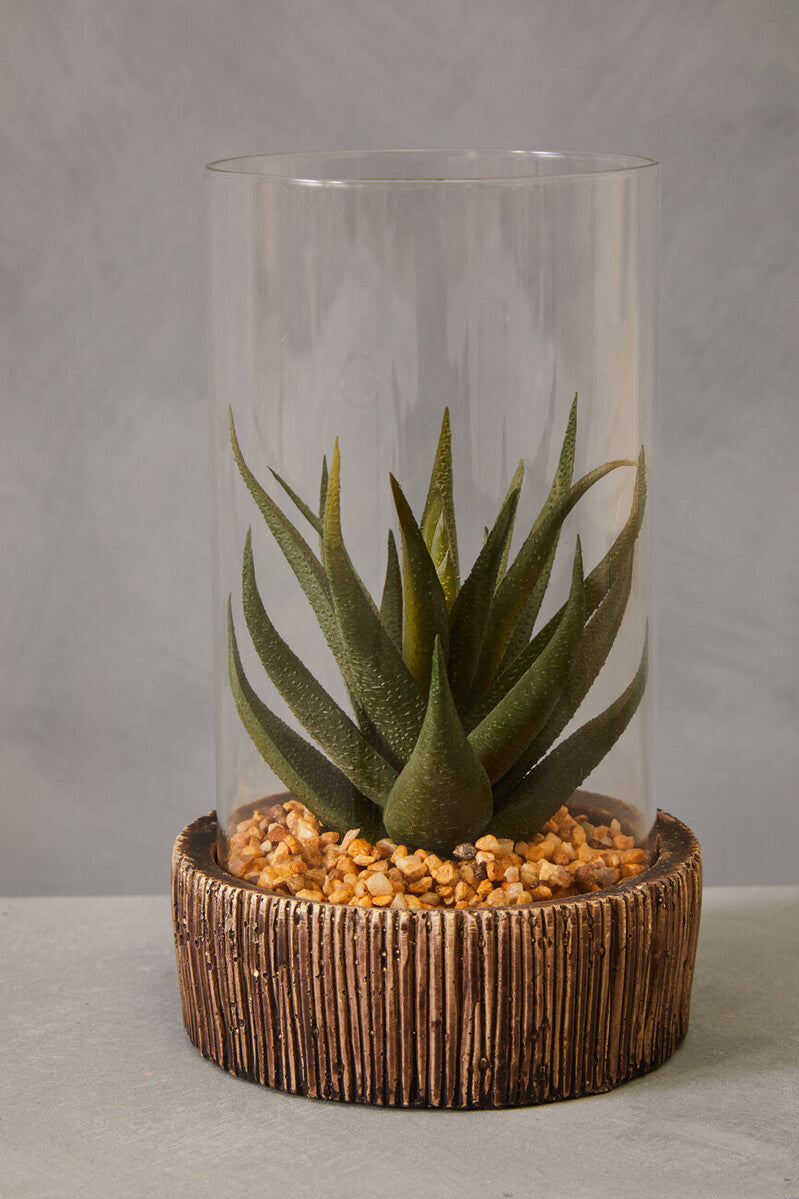 Fiori Small Succulent with Natural Stone Base