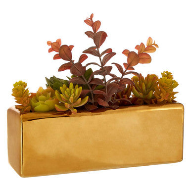Fiori Mixed Succulents with Gold Ceramic Pot