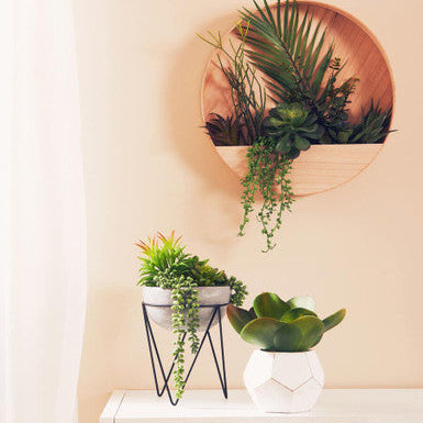 Fiori White Cement Pot Succulent