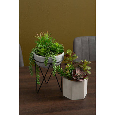 Fiori Mixed Succulent with Metal Stand