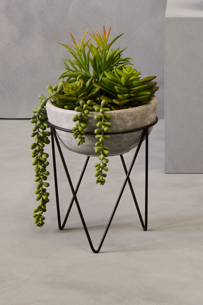 Fiori Mixed Succulent with Metal Stand