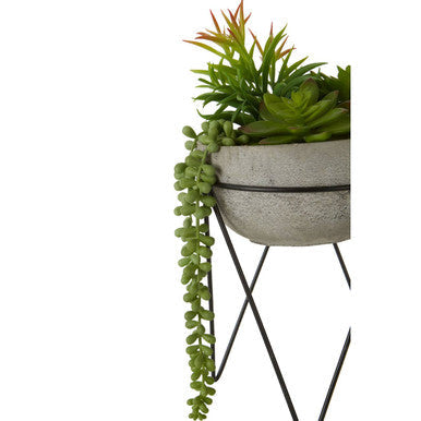 Fiori Mixed Succulent with Metal Stand