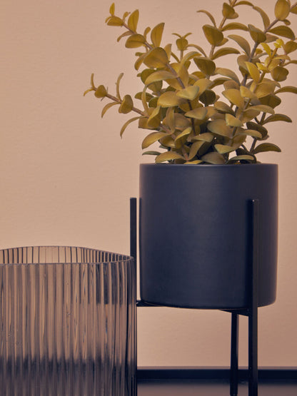 Fiori Thyme in Black Pot with Stand