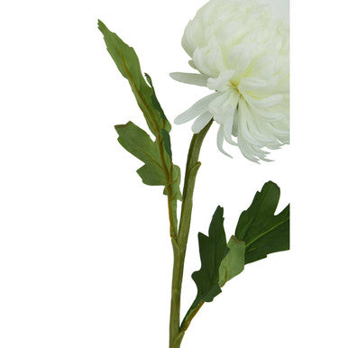 Fiori White Blazing Star Flower Stem