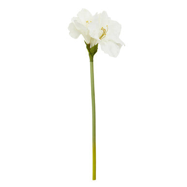 Fiori Ivory Amarylilis Flower Stem