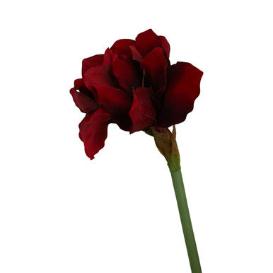 Fiori Burgundy Amarylilis Flower Stem