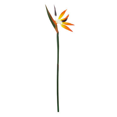 Fiori Tall Bird Of Paradise Flower Stem