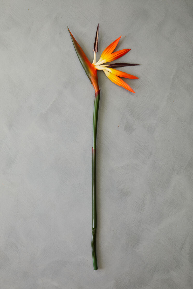 Fiori Tall Bird Of Paradise Flower Stem