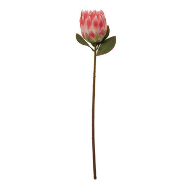 Fiori Pink Protea Flower Stem