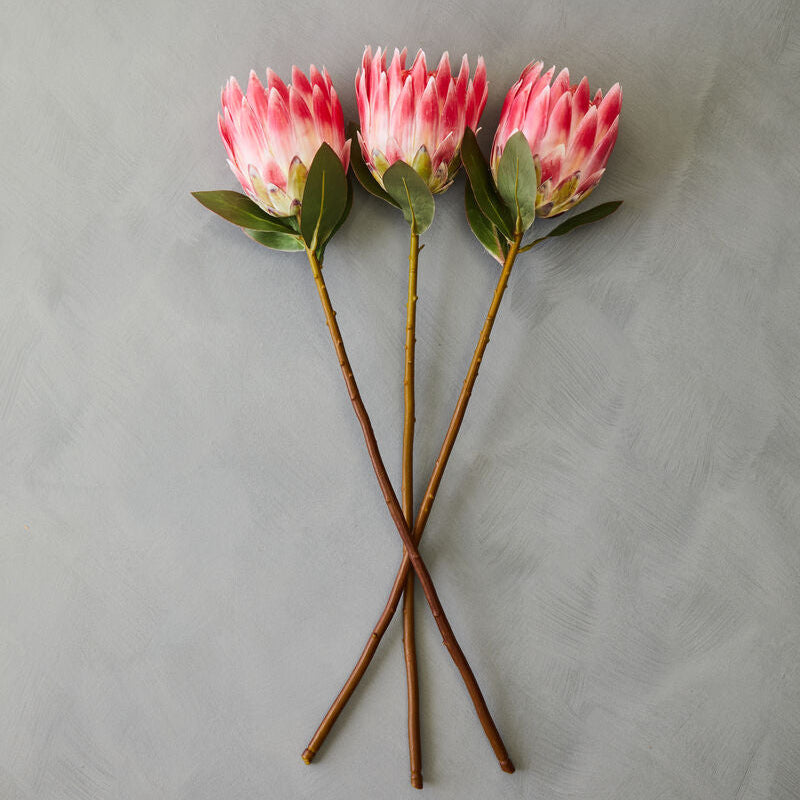 Fiori Pink Protea Flower Stem