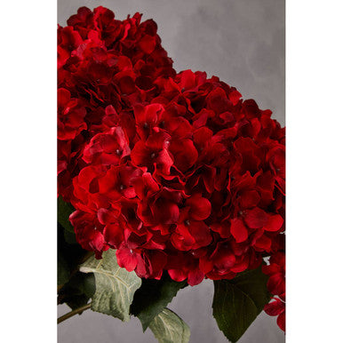Fiori Red Hydrangea Flower Stem