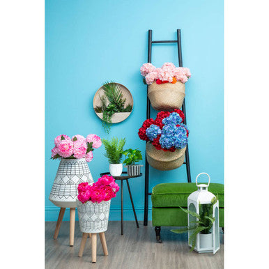 Fiori Fuchsia Peony Flower Stem