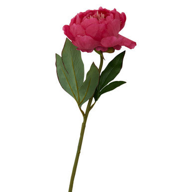 Fiori Fuchsia Peony Flower Stem