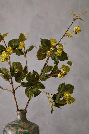 Fiori Green Hop Flower Spray Stem