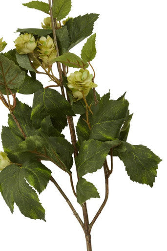 Fiori Green Hop Flower Spray Stem