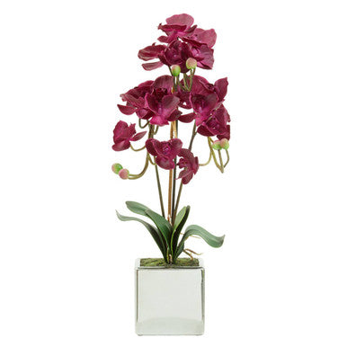 Fiori Purple Orchid in Silver Pot