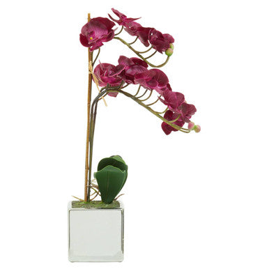 Fiori Purple Orchid in Silver Pot