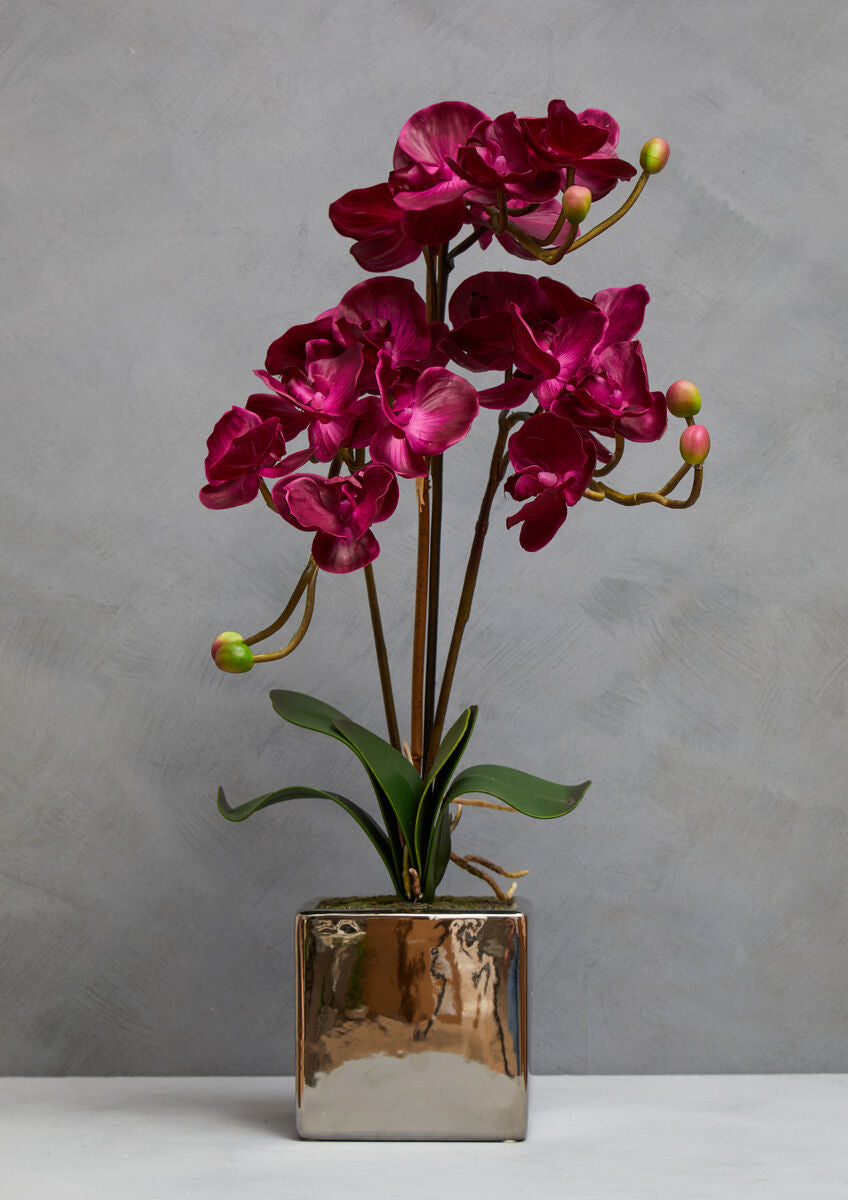 Fiori Purple Orchid in Silver Pot