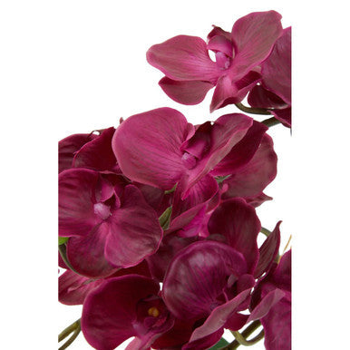 Fiori Purple Orchid in Silver Pot