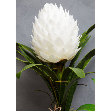 Fiori White Tropical Plant in Black Pot