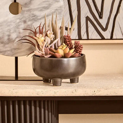 Fiori Mixed Succulents In Grey Ceramic Pot