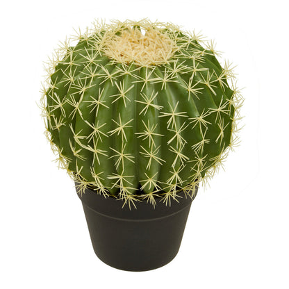 Fiori Round Cactus in Pot