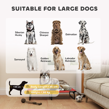 Dog House