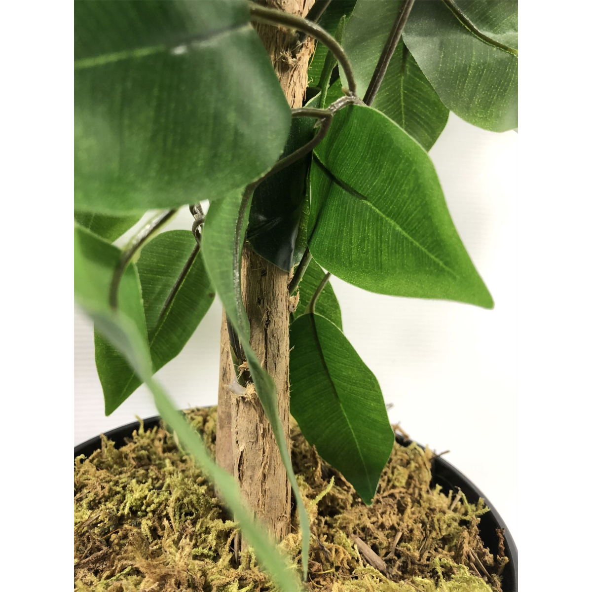 120cm Artificial Ficus Tree / Plant - Large Bushy Shape Gold Metal Planter