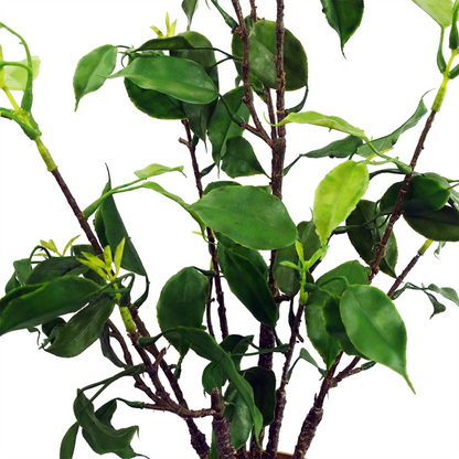 60cm Artificial Banyan Bonsai Ficus Tree