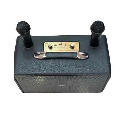 Panther Force Speaker with 2 wireless MIC & RGB LIGHT - PF306
