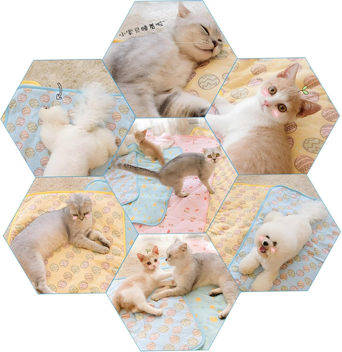 Keep Your Pet Cool All Summer With  Cooling Mat For Cats And Dogs