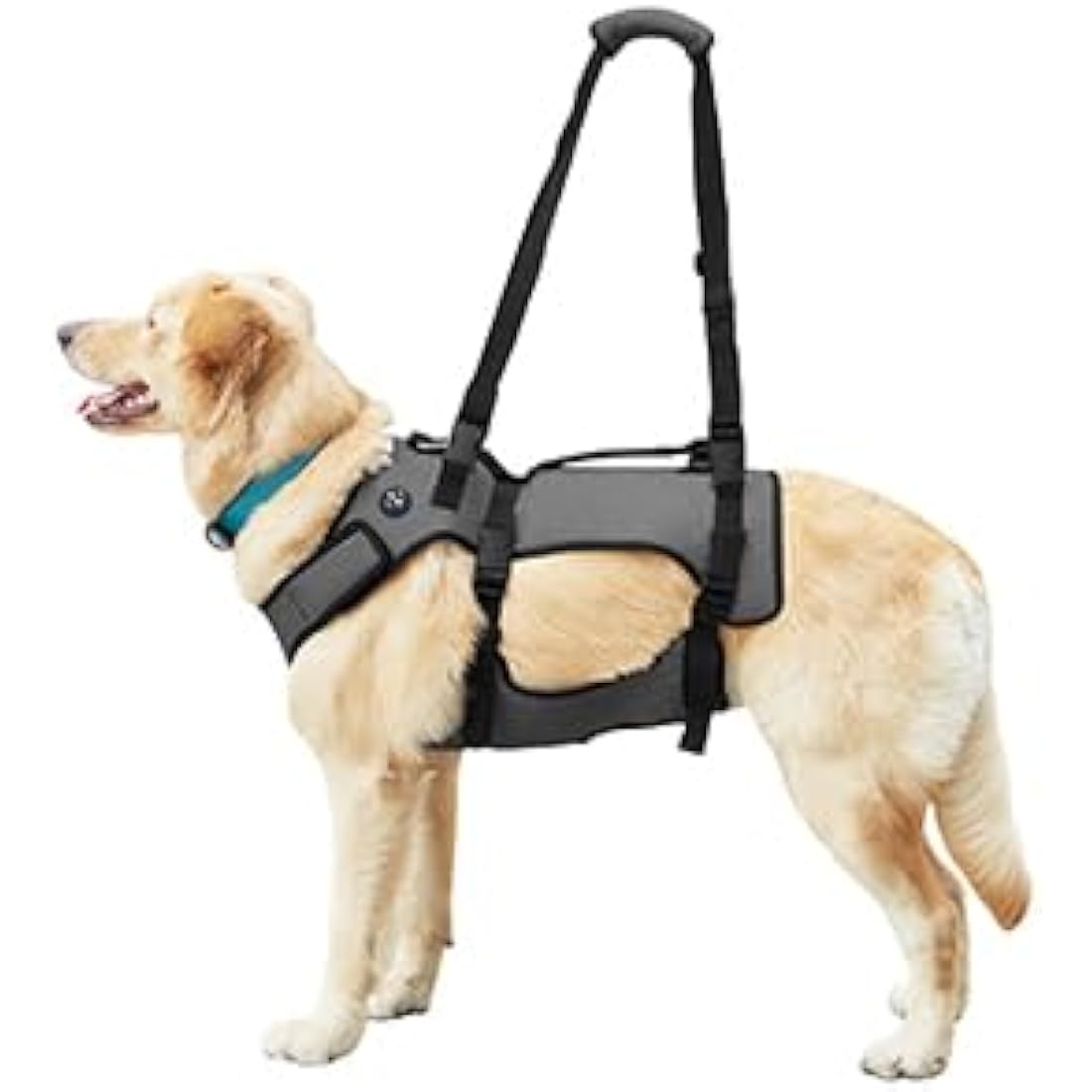 Coodeo Dog Lift Harness, Support & Recovery Sling, Pet Rehabilitation Lifts Vest Adjustable Breathable Straps for Old, Disabled, Joint Injuries, Arthritis, Paralysis Dogs Walk (Grey,2XLarge)