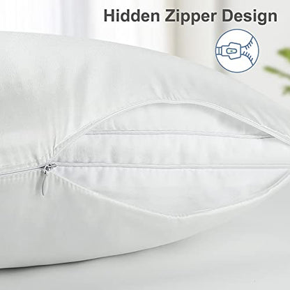 tenn well 2 Pack Mulberry Silk Pillowcases for Hair and Skin, Both Sides 100% Pure Silk Pillowcase 19 Momme Soft Smooth Pillow Case with Hidden Zipper