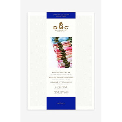 DMC Stranded Cotton Shade Card - W100B