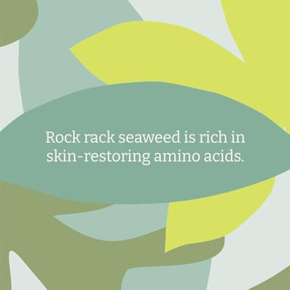 Faith In Nature Natural Seaweed & Citrus Body Wash, Restorative Shower Gel, Vegan & Cruelty Free, No SLS or Parabens, 5L Refill Pack