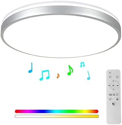 Horevo 24W LED Ceiling Light, Minimalist Silver Edge Ceiling Light with Remote Control and Bluetooth Speaker, 2000 Lumens Ø30cm Dimmable Ceiling Lights for Lounge, Living Room, Kids Room, Bedroom