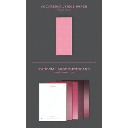 YG WORKS BLACKPINK 2nd ALBUM - BORN PINK [PINK Ver.] _Package Box set (Referring to the bullet point), Medium