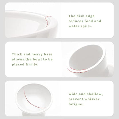 CEEFU 2 x Extra Wide Ceramic Cat Bowls for Food and Water, Shallow Plate, Lead and Cadmium Free, Raised Height for Dogs and Cats, Two Different Depth Bowls, White