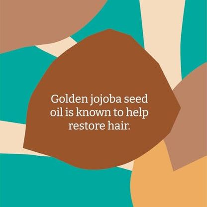 Faith In Nature Natural Jojoba Conditioner, Smoothing for Dry Hair & Scalp, Vegan & Cruelty Free, No SLS, Silicones or Parabens, 5L Refill Pack