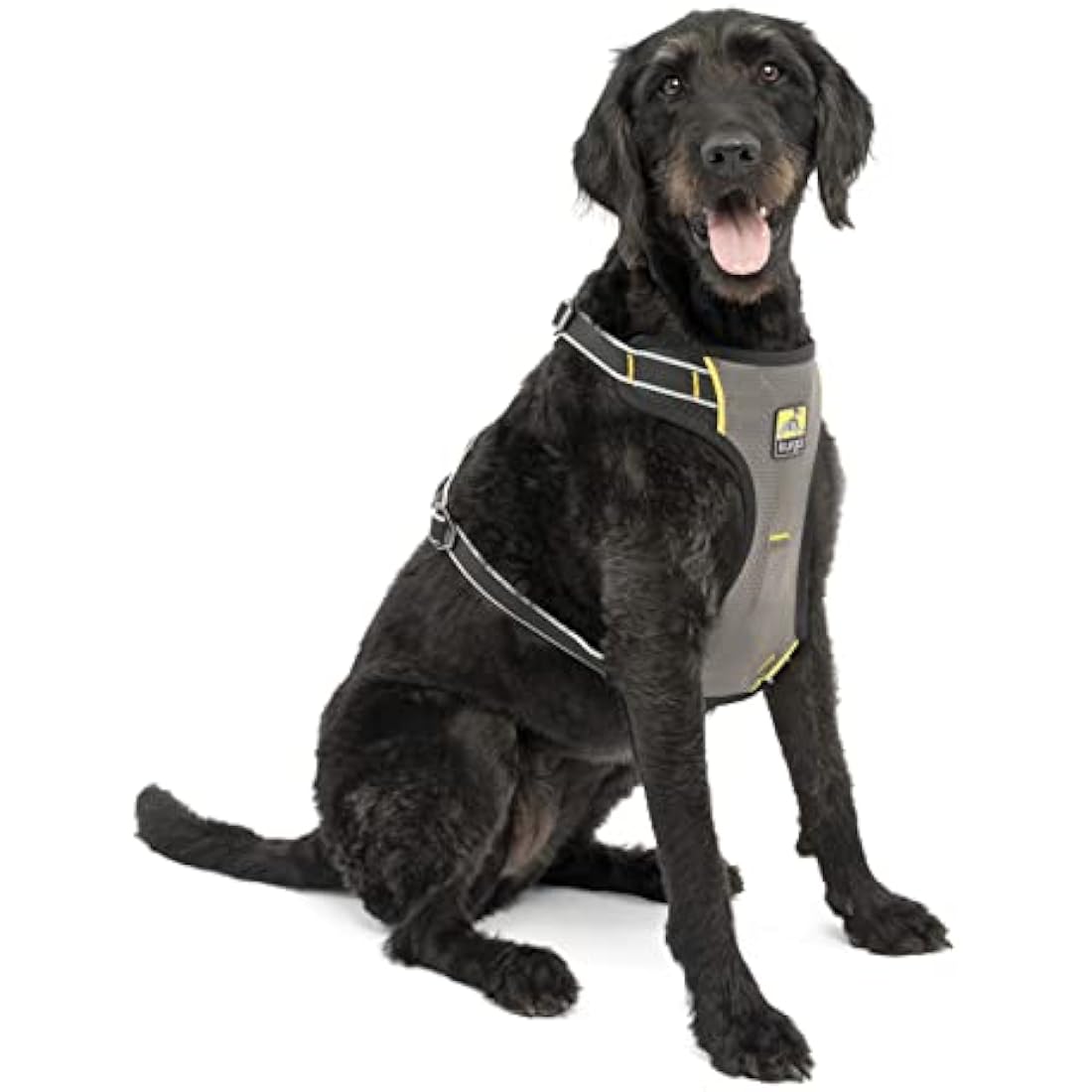 Kurgo Impact Dog Car Harness, Crash Tested, Integrates with Car Seatbelt System, Lightweight, Extra Large-Black/Charcoal Grey