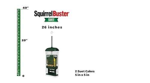 Squirrel Buster Squirrel-proof Bird Feeder w/2 Suet Cake Trays, 2 Crumb Ports, Mess-free Loading, Green